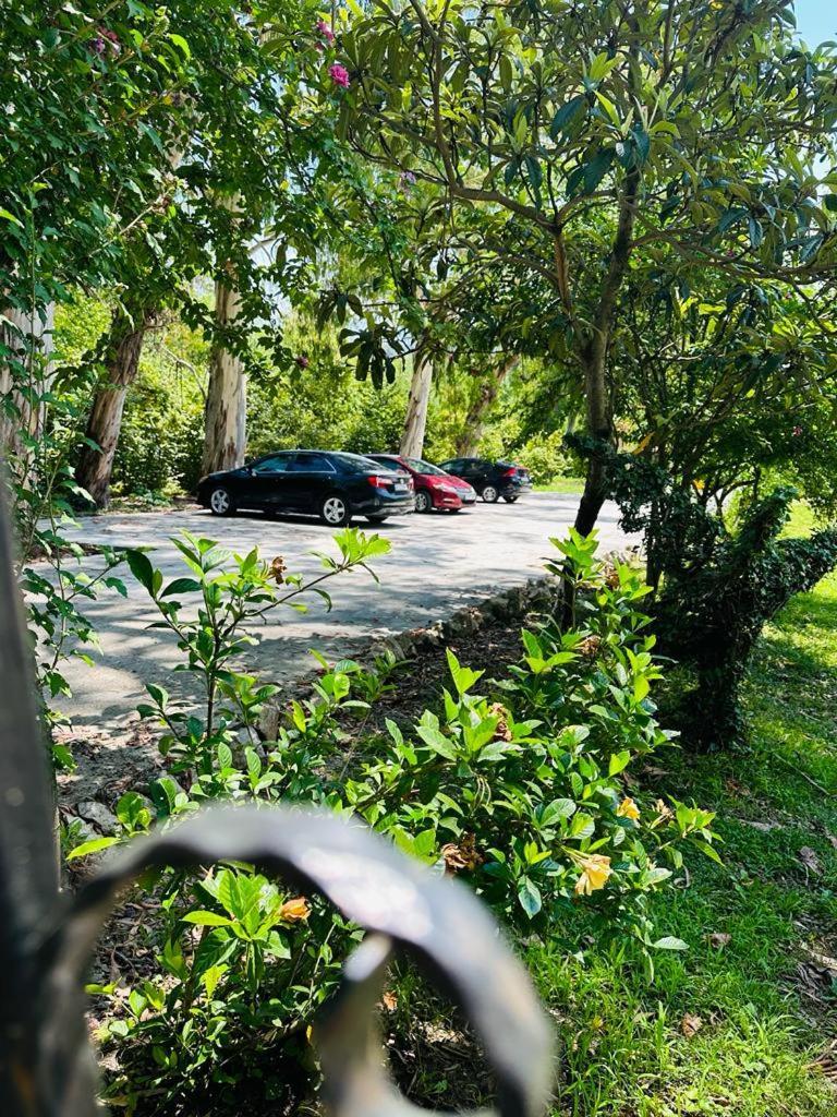 Vita Gardenia Hotel Ckaltubo Kültér fotó